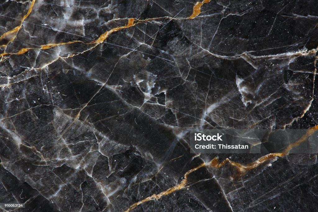 Dedicated Secretary Service